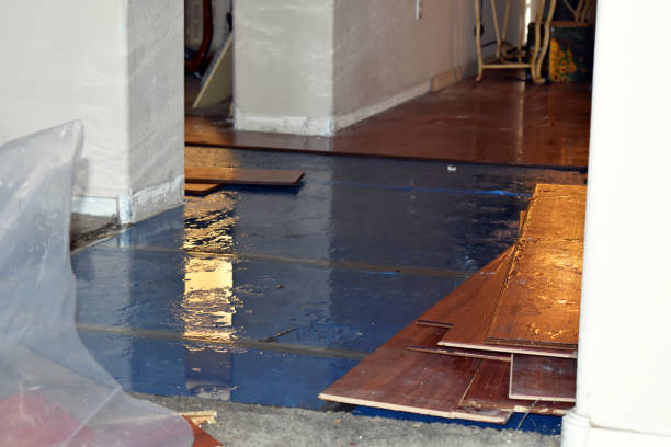 Professional Water Damage technician working in Strawn, TX